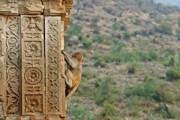 A Walk Through Bhangarh in the Afternoon (Real Experience)