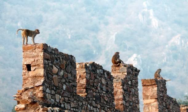 Bhangarh Fort: Beyond The Legends