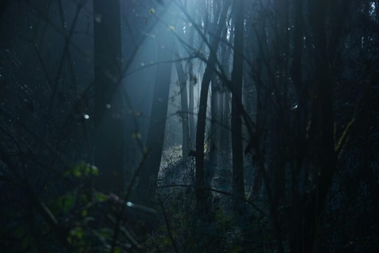 What Bhangarh Is Like After Sunset (Without the Ghost Stories)